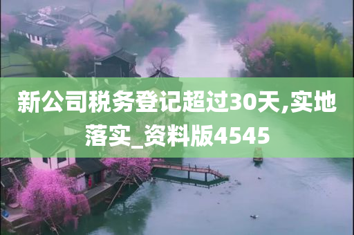 新公司税务登记超过30天,实地落实_资料版4545