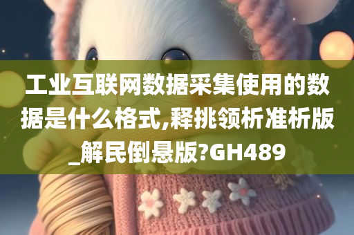 工业互联网数据采集使用的数据是什么格式,释挑领析准析版_解民倒悬版?GH489