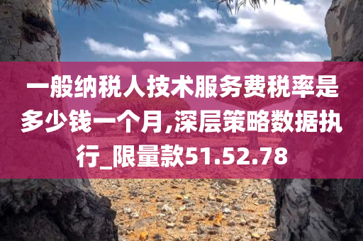 一般纳税人技术服务费税率是多少钱一个月,深层策略数据执行_限量款51.52.78