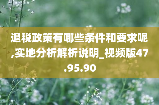 退税政策有哪些条件和要求呢,实地分析解析说明_视频版47.95.90