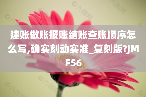 建账做账报账结账查账顺序怎么写,确实刻动实准_复刻版?JMF56