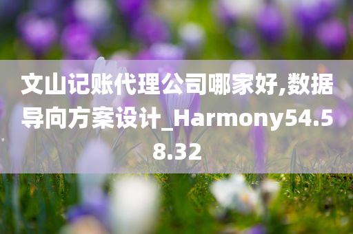 文山记账代理公司哪家好,数据导向方案设计_Harmony54.58.32