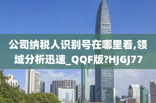 公司纳税人识别号在哪里看,领域分析迅速_QQF版?HJGJ77