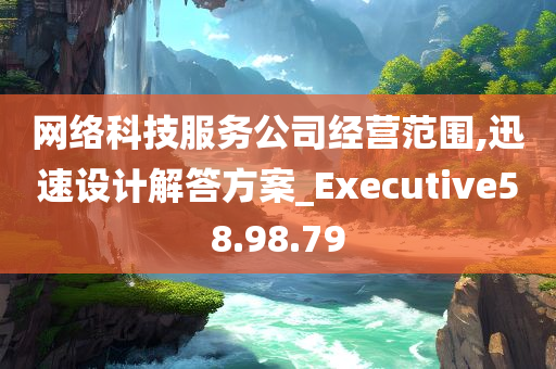 网络科技服务公司经营范围,迅速设计解答方案_Executive58.98.79