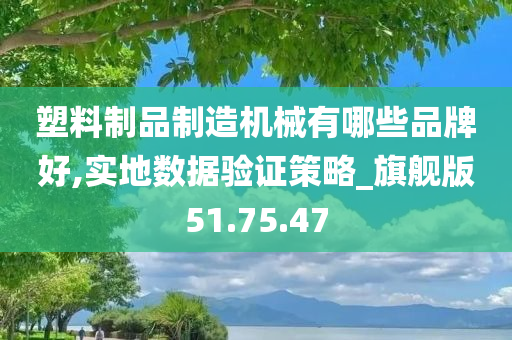 塑料制品制造机械有哪些品牌好,实地数据验证策略_旗舰版51.75.47