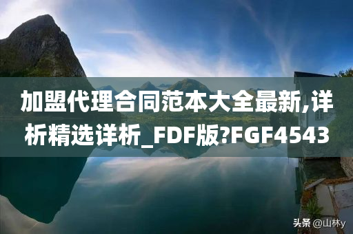 加盟代理合同范本大全最新,详析精选详析_FDF版?FGF4543