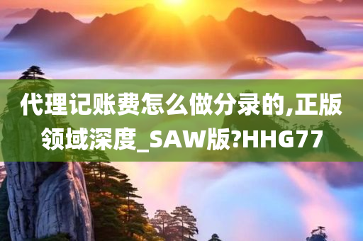 代理记账费怎么做分录的,正版领域深度_SAW版?HHG77