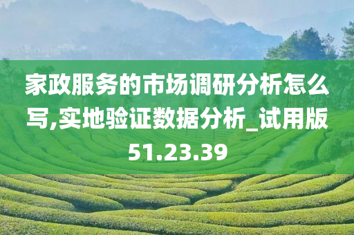 家政服务的市场调研分析怎么写,实地验证数据分析_试用版51.23.39