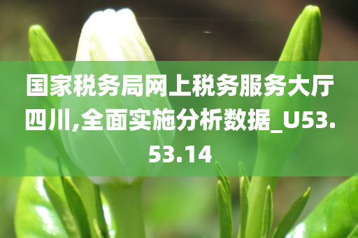 国家税务局网上税务服务大厅四川,全面实施分析数据_U53.53.14