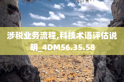 涉税业务流程,科技术语评估说明_4DM56.35.58