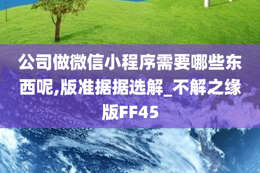 公司做微信小程序需要哪些东西呢,版准据据选解_不解之缘版FF45