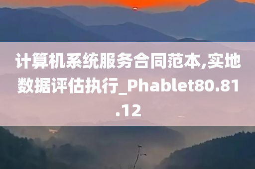 计算机系统服务合同范本,实地数据评估执行_Phablet80.81.12