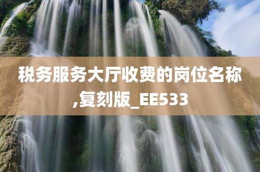 税务服务大厅收费的岗位名称,复刻版_EE533