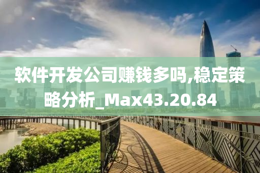 软件开发公司赚钱多吗,稳定策略分析_Max43.20.84