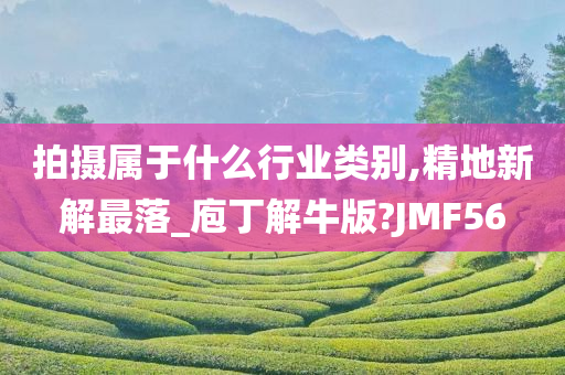 拍摄属于什么行业类别,精地新解最落_庖丁解牛版?JMF56