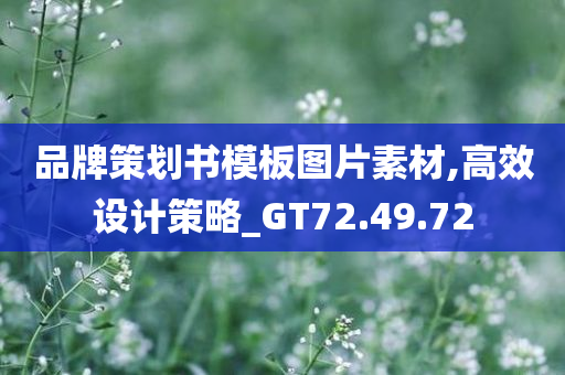 品牌策划书模板图片素材,高效设计策略_GT72.49.72