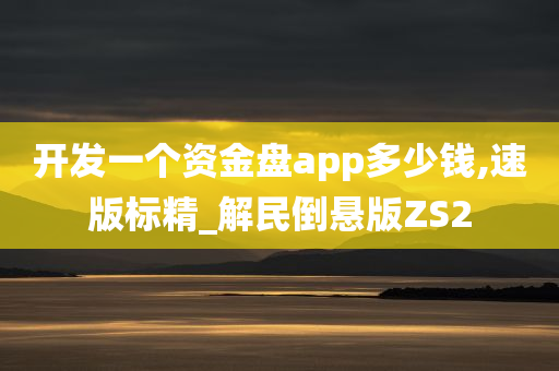 开发一个资金盘app多少钱,速版标精_解民倒悬版ZS2