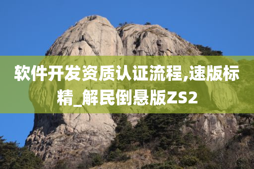 软件开发资质认证流程,速版标精_解民倒悬版ZS2