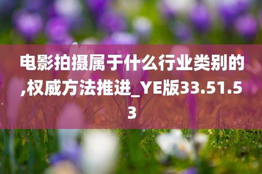 电影拍摄属于什么行业类别的,权威方法推进_YE版33.51.53