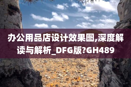 办公用品店设计效果图,深度解读与解析_DFG版?GH489