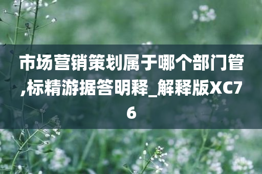 市场营销策划属于哪个部门管,标精游据答明释_解释版XC76