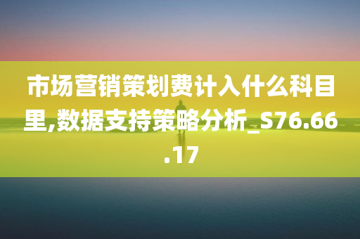 市场营销策划费计入什么科目里,数据支持策略分析_S76.66.17