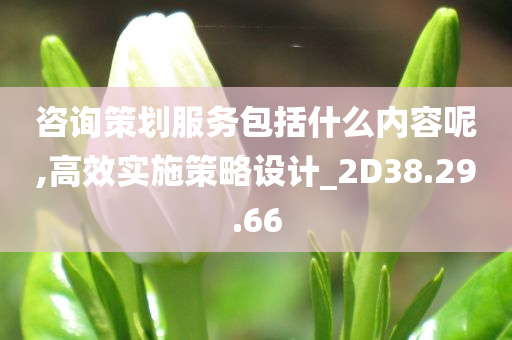 咨询策划服务包括什么内容呢,高效实施策略设计_2D38.29.66