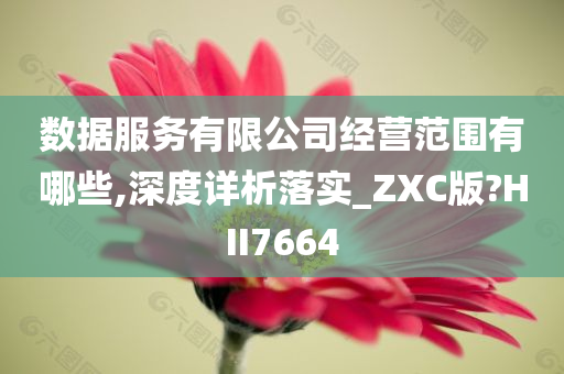 数据服务有限公司经营范围有哪些,深度详析落实_ZXC版?HII7664