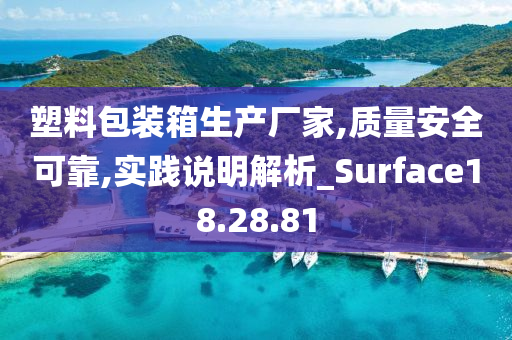 塑料包装箱生产厂家,质量安全可靠,实践说明解析_Surface18.28.81