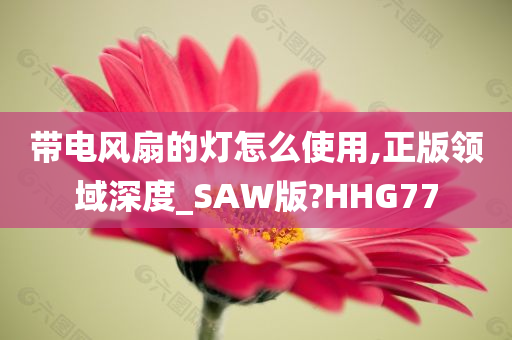 带电风扇的灯怎么使用,正版领域深度_SAW版?HHG77