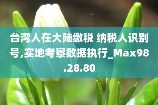 台湾人在大陆缴税 纳税人识别号,实地考察数据执行_Max98.28.80