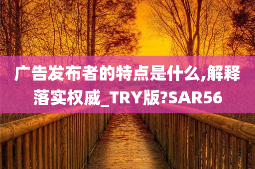 广告发布者的特点是什么,解释落实权威_TRY版?SAR56