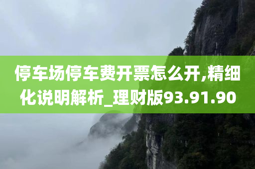 停车场停车费开票怎么开,精细化说明解析_理财版93.91.90