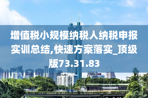 增值税小规模纳税人纳税申报实训总结,快速方案落实_顶级版73.31.83