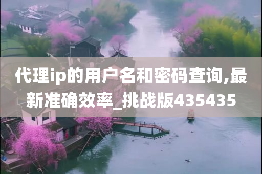 代理ip的用户名和密码查询,最新准确效率_挑战版435435