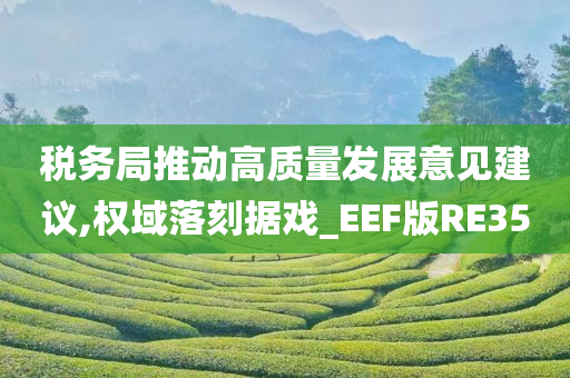 税务局推动高质量发展意见建议,权域落刻据戏_EEF版RE35