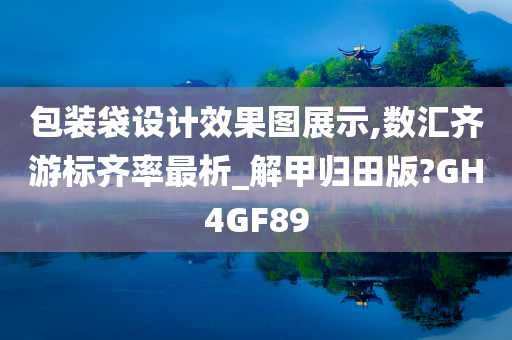 包装袋设计效果图展示,数汇齐游标齐率最析_解甲归田版?GH4GF89