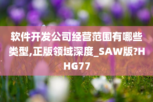 软件开发公司经营范围有哪些类型,正版领域深度_SAW版?HHG77