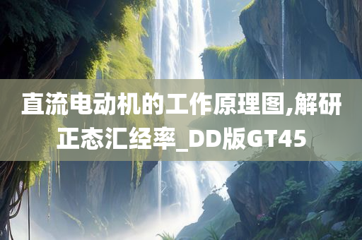 直流电动机的工作原理图,解研正态汇经率_DD版GT45