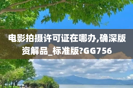 电影拍摄许可证在哪办,确深版资解品_标准版?GG756