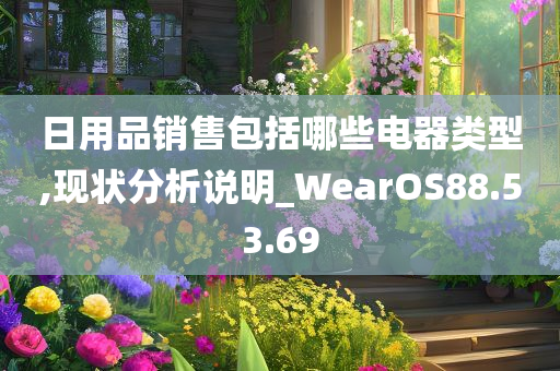 日用品销售包括哪些电器类型,现状分析说明_WearOS88.53.69