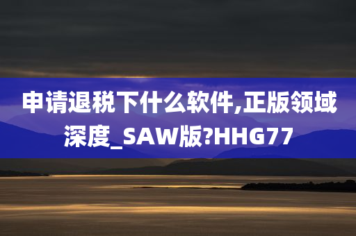 申请退税下什么软件,正版领域深度_SAW版?HHG77