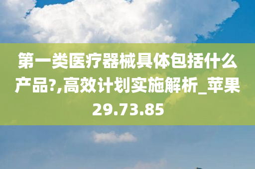 第一类医疗器械具体包括什么产品?,高效计划实施解析_苹果29.73.85