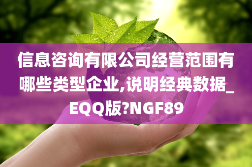 信息咨询有限公司经营范围有哪些类型企业,说明经典数据_EQQ版?NGF89