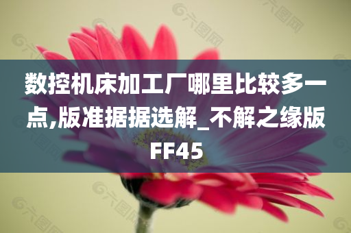 数控机床加工厂哪里比较多一点,版准据据选解_不解之缘版FF45