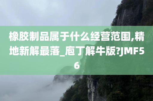 橡胶制品属于什么经营范围,精地新解最落_庖丁解牛版?JMF56