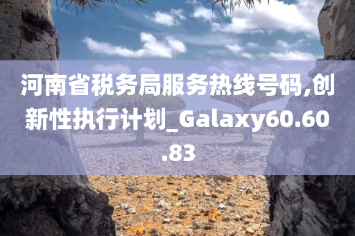 河南省税务局服务热线号码,创新性执行计划_Galaxy60.60.83