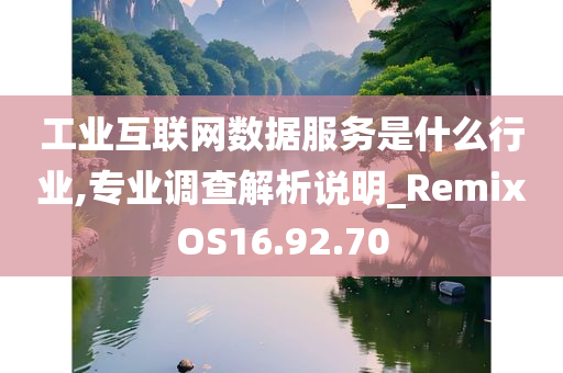 工业互联网数据服务是什么行业,专业调查解析说明_RemixOS16.92.70