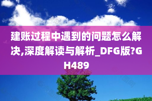 建账过程中遇到的问题怎么解决,深度解读与解析_DFG版?GH489