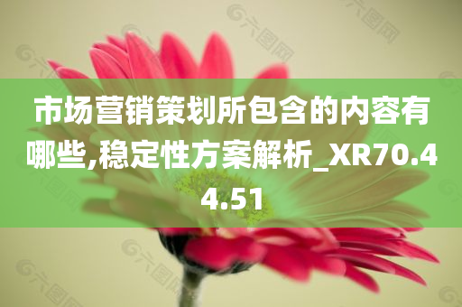 市场营销策划所包含的内容有哪些,稳定性方案解析_XR70.44.51